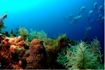 Sharm El Sheikh Diving Holiday